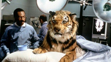 "Doktor Dolittle" (1998), pełna uroku komedia familijna, w której ekscentryczny lekarz odkrywa, że może rozmawiać z zwierzętami, prowadząc ich wesołe i szalone przygody.