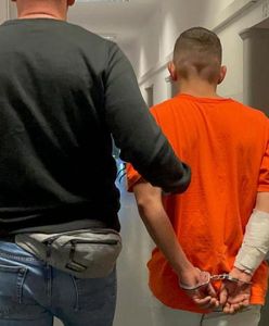 Odkręcił gaz, zabił 2 psy. Grozi mu 8 lat więzienia