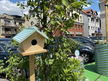 Nie chcą roślinności wolą plac wylany asfaltem. Petycja w sprawie Placu Powstańców w Lesznie