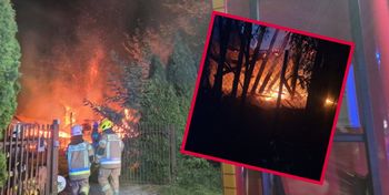 Dobiegniewo: Nocny pożar pod Włocławkiem! Spłonęła wiata pełna cennego drewna z tropików