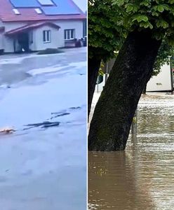 Powodzie błyskawiczne w północnej Polsce. Nagrania z Tolkmicka i Elbląga