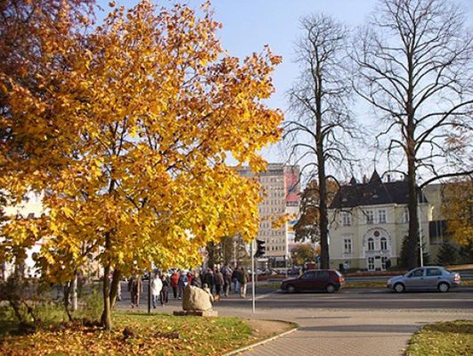 Obraz
