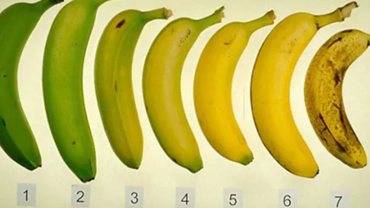 Który banan jest najzdrowszy?