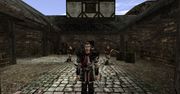 Kody do Gothic II i Gothic II: Noc Kruka