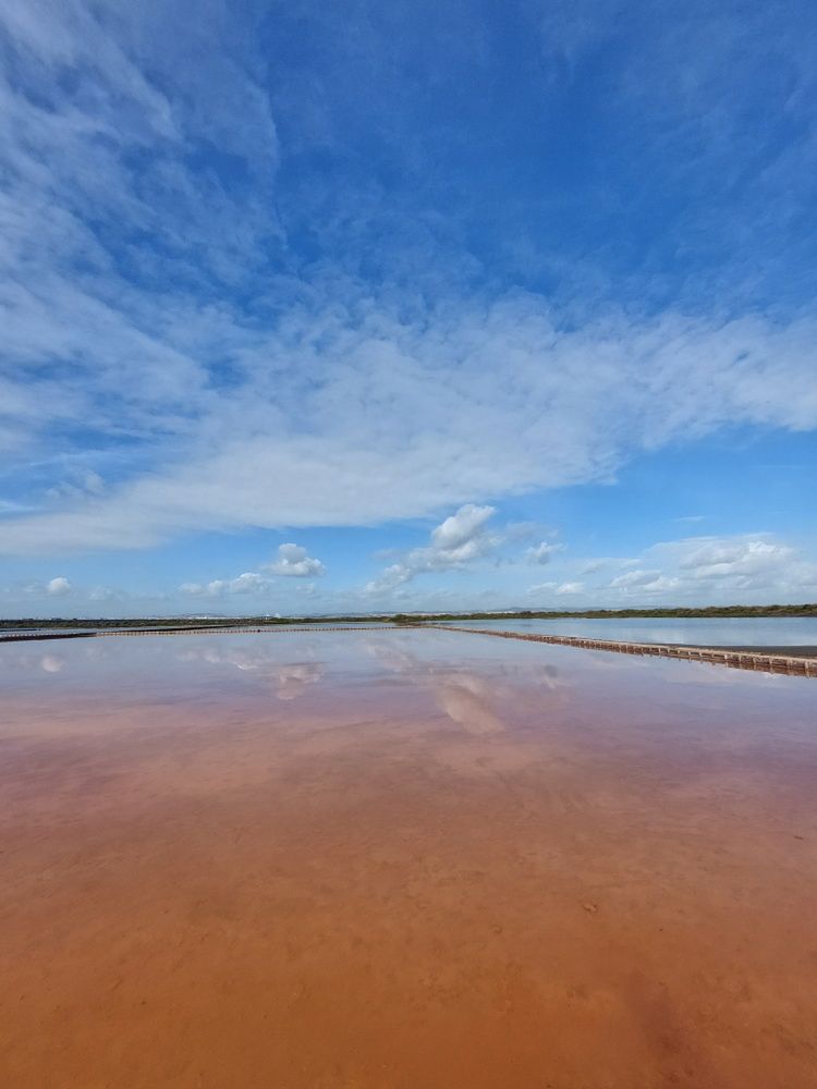 Salinas do Samouco
