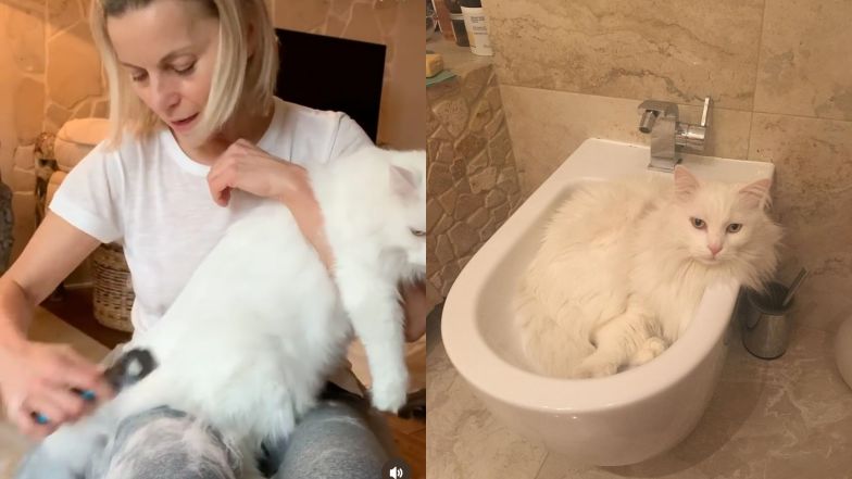 Tak mieszka Małgorzata Foremniak