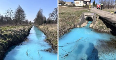 Niecodzienny widok na Mazurach. Burmistrz apeluje o pomoc