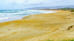 Piasek odsłonił starożytny skarb na plaży. Zaskakujące odkrycie w Izraelu