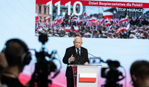 W PiS chcą "uniknąć klapy"? Mamy głos z partii ws. manifestacji