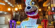 Bielsko-Biała: Magiczne iluminacje świąteczne. Reksio, ogromna choinka, sanie Mikołaja...