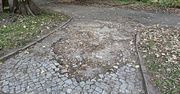 Warszawa: Park im. Rydza-Śmigłego doczeka się remontu alejek