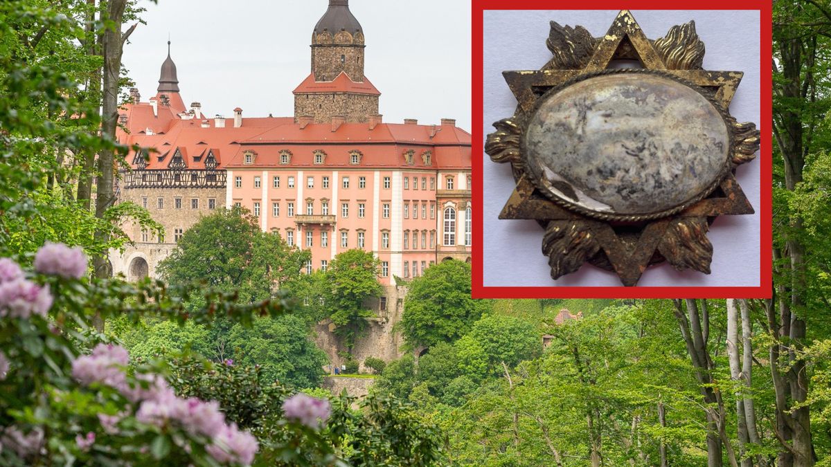 Odkrycia dokonano podczas prac porządkowych w ogrodezie