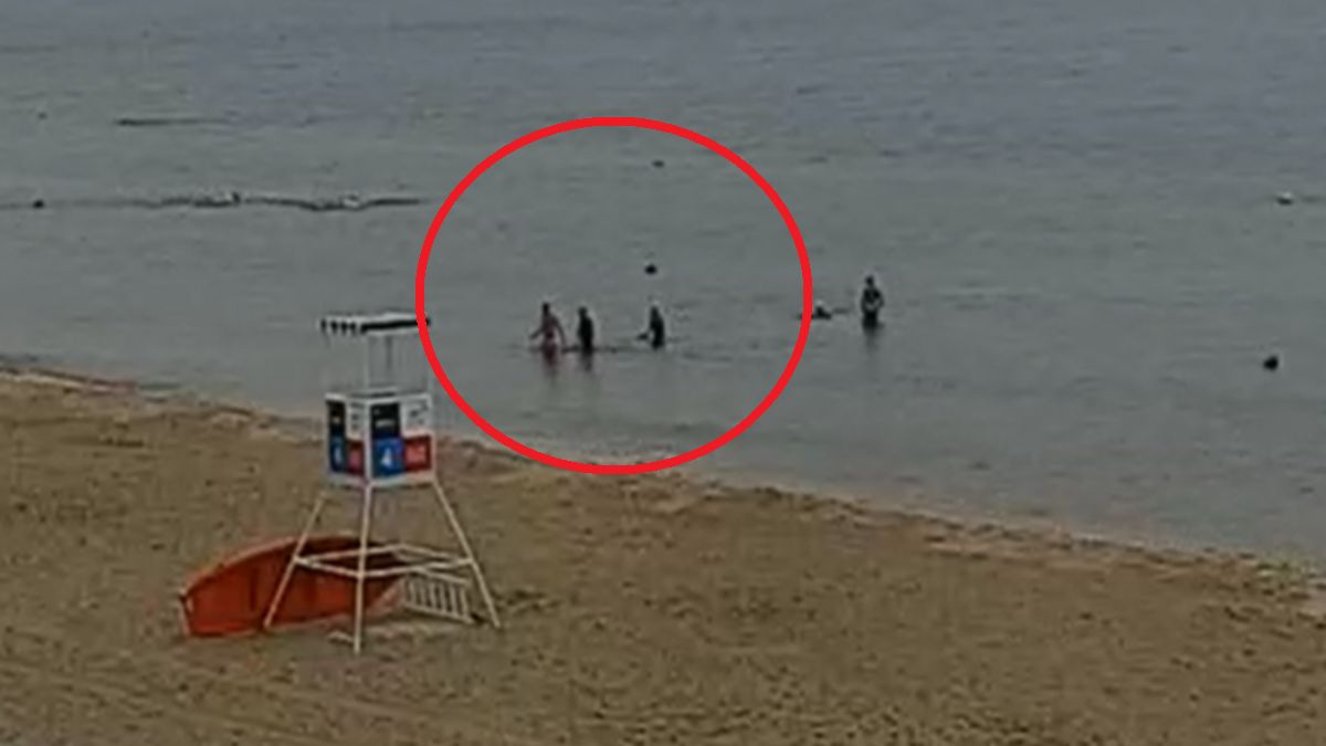 Widok na Krynicę Morską.