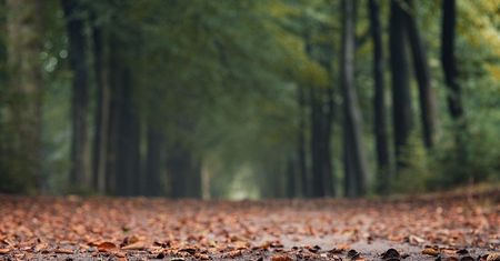 Pogoda na najbliższy tydzień. Mniej opadów, nieco cieplej, ale też powieje