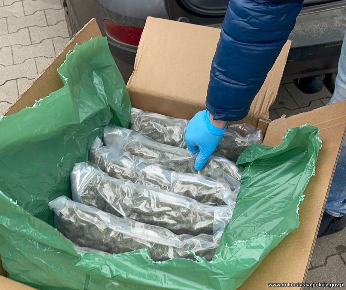 59 kilogramów marihuany w paczkach – ząbkowiccy policjanci rozbili kolejną dużą przemytniczą dostawę