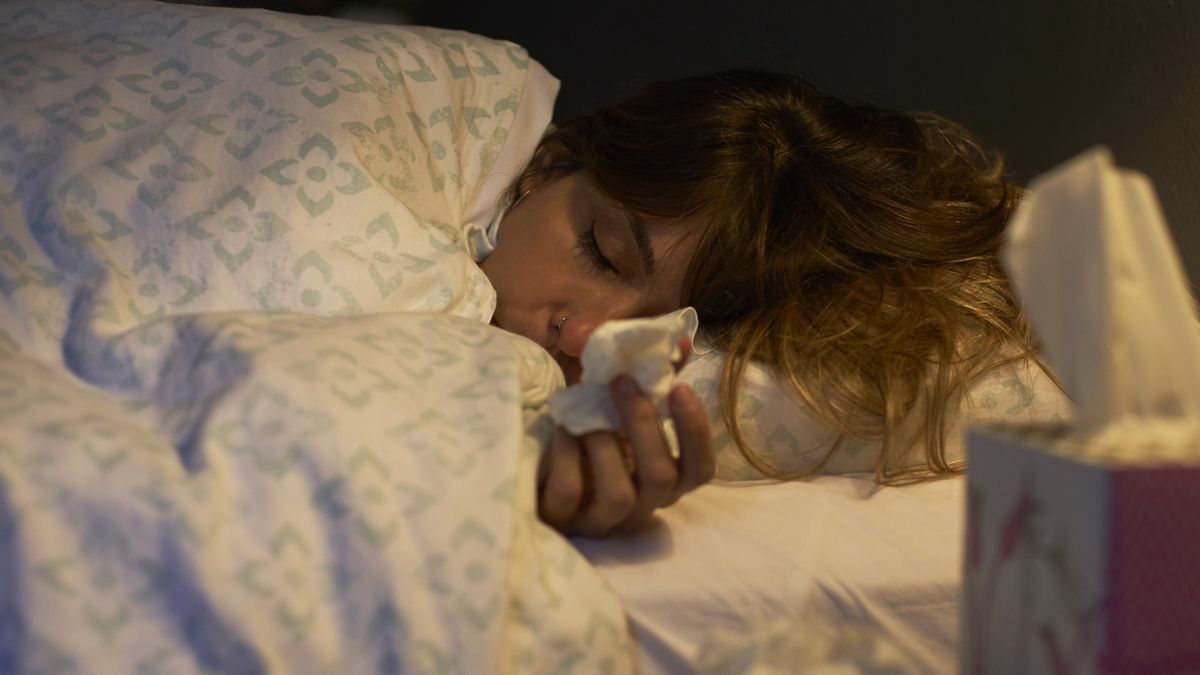 Sick woman using tissues in the bedWestend61box, break, having a cold, home, lying, recreation, sickbed, tissue, woman