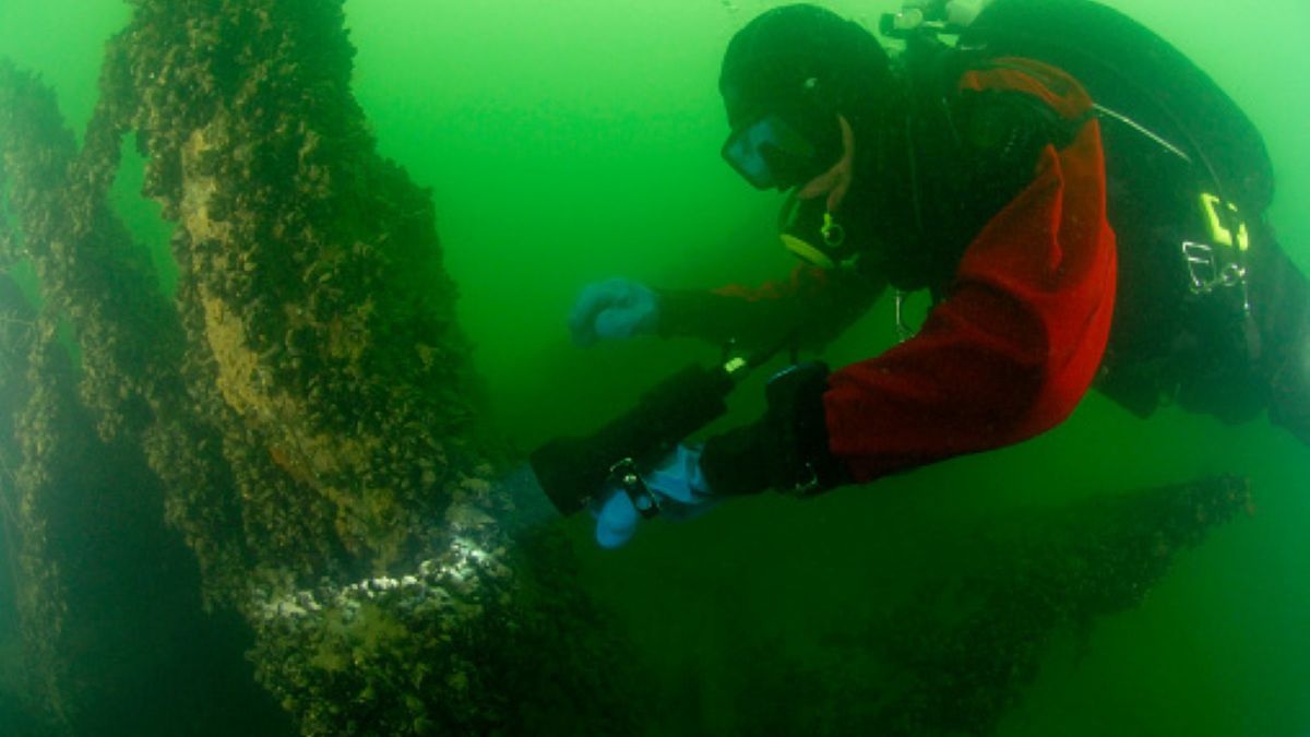 Zdjęcie ilustracyjne