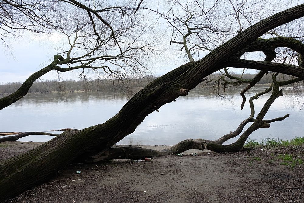 Fujifilm X-A2 - bezluzusterkowiec z matrycą APS-C w przyzwoitej cenie [test] 44
