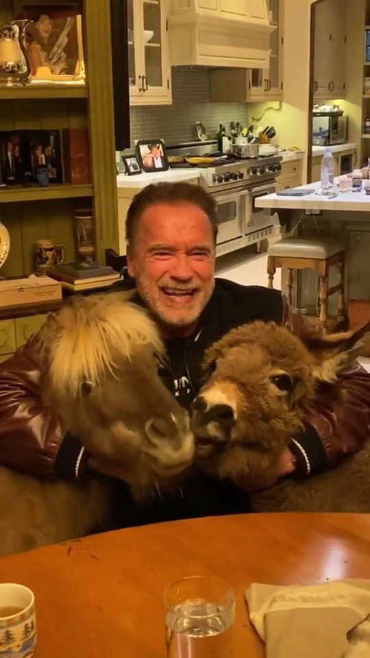 Arnold Schwarzenegger