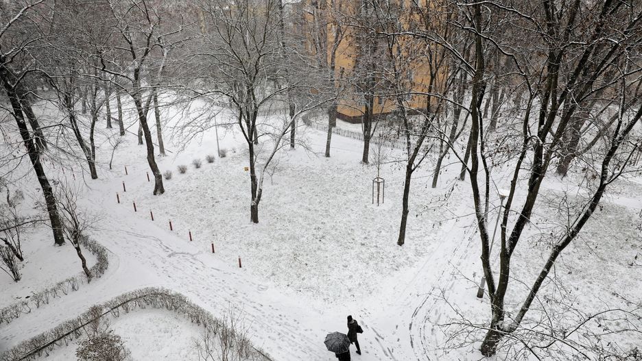 Mazowieckie. W najbliższych dniach spodziewane są opady śniegu
