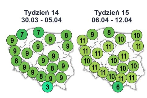 Średnia temperatura maksymalna