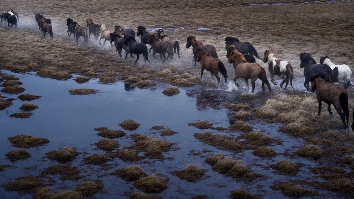 Drew Doggett przeniesie was w mistyczny świat islandzkich legend 1