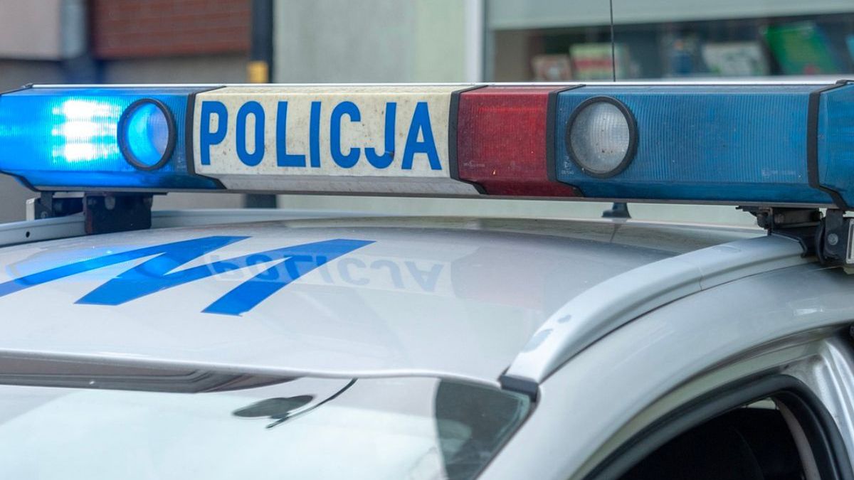 zdjęcie ilustracyjne 