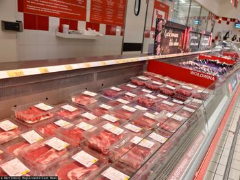 W składzie zmielone pazury i kości. Polacy jedzą na potęgę