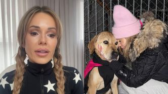 Doda kończy działania pomocowe na rzecz schronisk. "To jest dla mnie PSYCHICZNIE NIE DO ZNIESIENIA" (WIDEO)