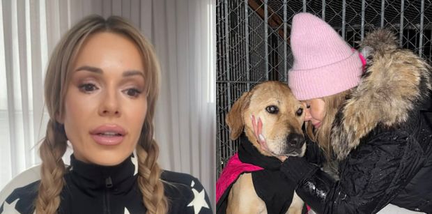 Doda kończy działania pomocowe na rzecz schronisk. "To jest dla mnie PSYCHICZNIE NIE DO ZNIESIENIA" (WIDEO)