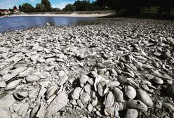 Świdnica. Sprawa Zalewu Witoszówka nie ma końca. Remont może pochłonąć nawet 2 miliony złotych