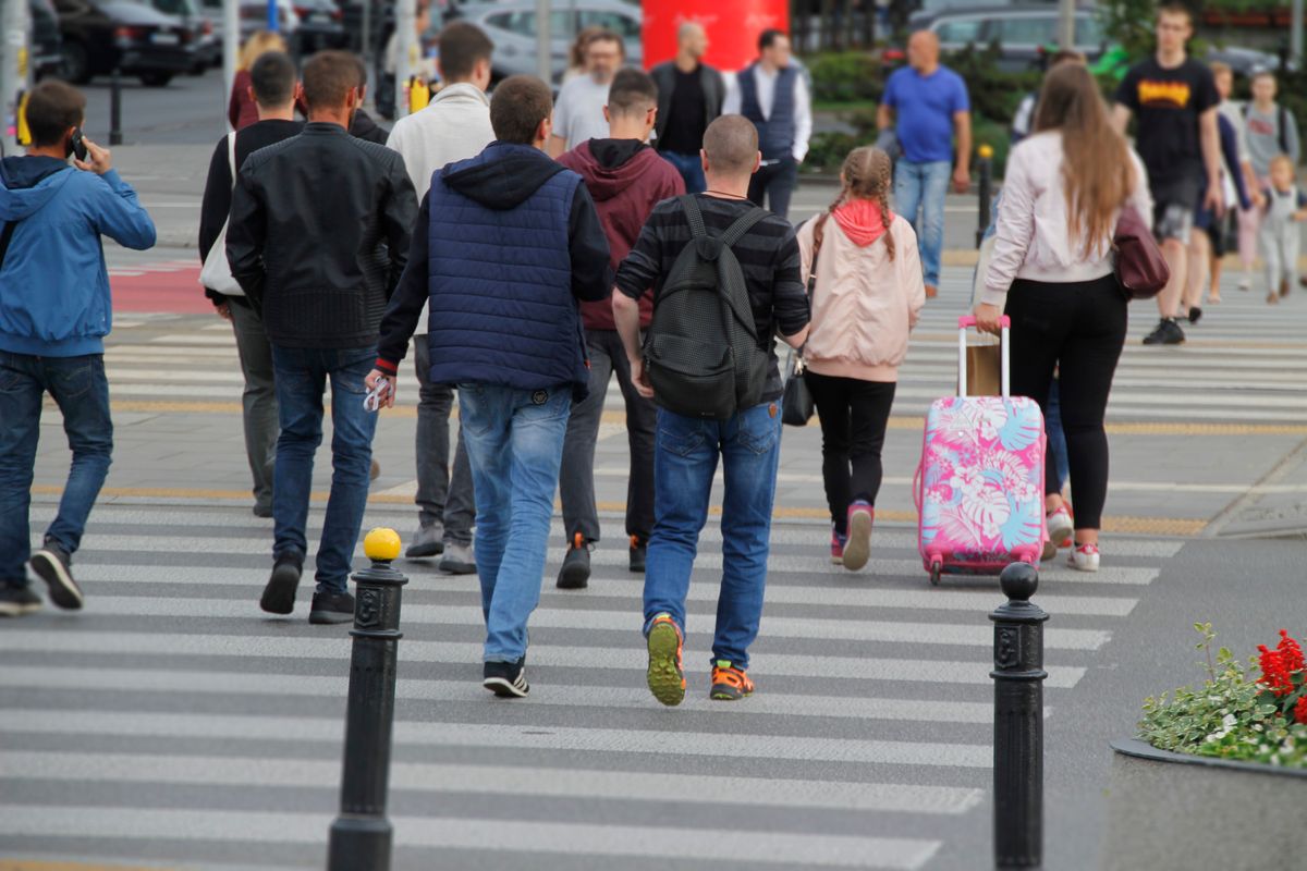 Polskie indeksy giełdowe osiągają rekordowe poziomy