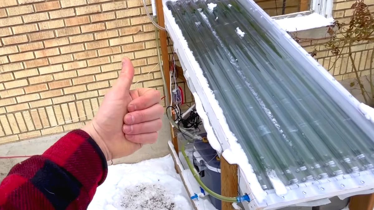 Panel słoneczny do produkcji alg