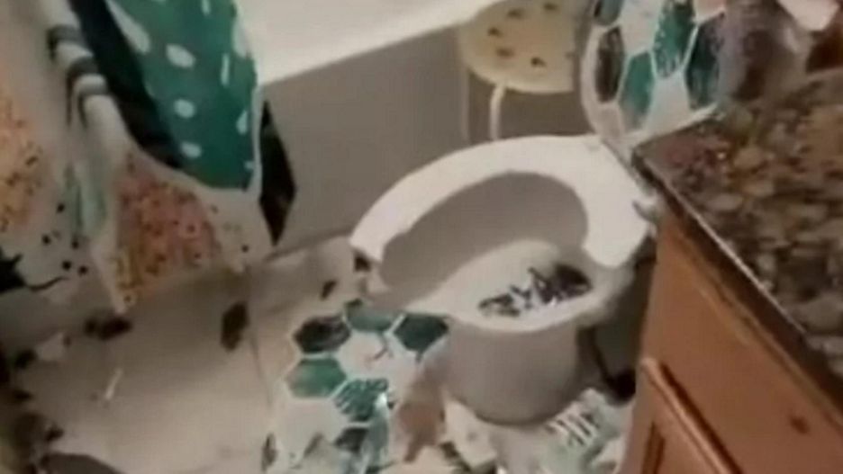 To zastała po powrocie do domu