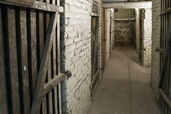 Kto trzyma w piwnicy, pożałuje. Kara może wynieść nawet 5 tysięcy zł