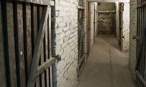 Kto trzyma w piwnicy, pożałuje. Kara może wynieść nawet 5 tysięcy zł