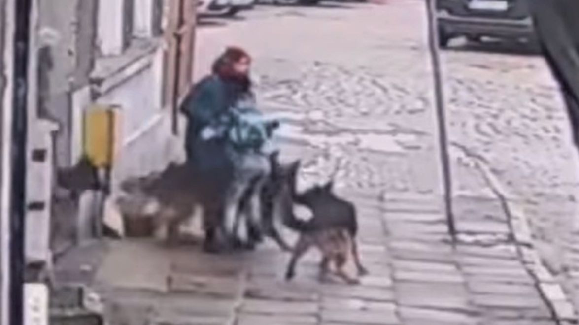 Psy zaatakowały kobietę z dziećmi w Gdańsku 