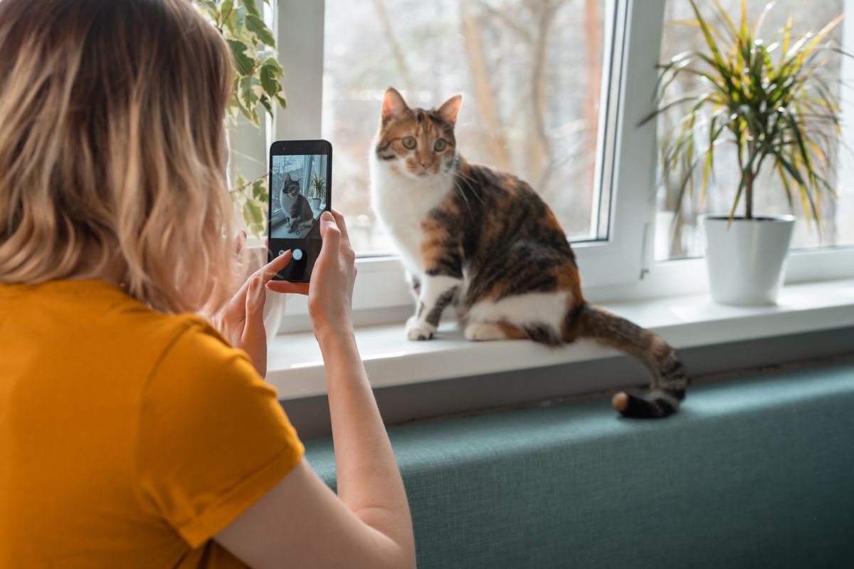 Kobieta robi zdjęcie kotu