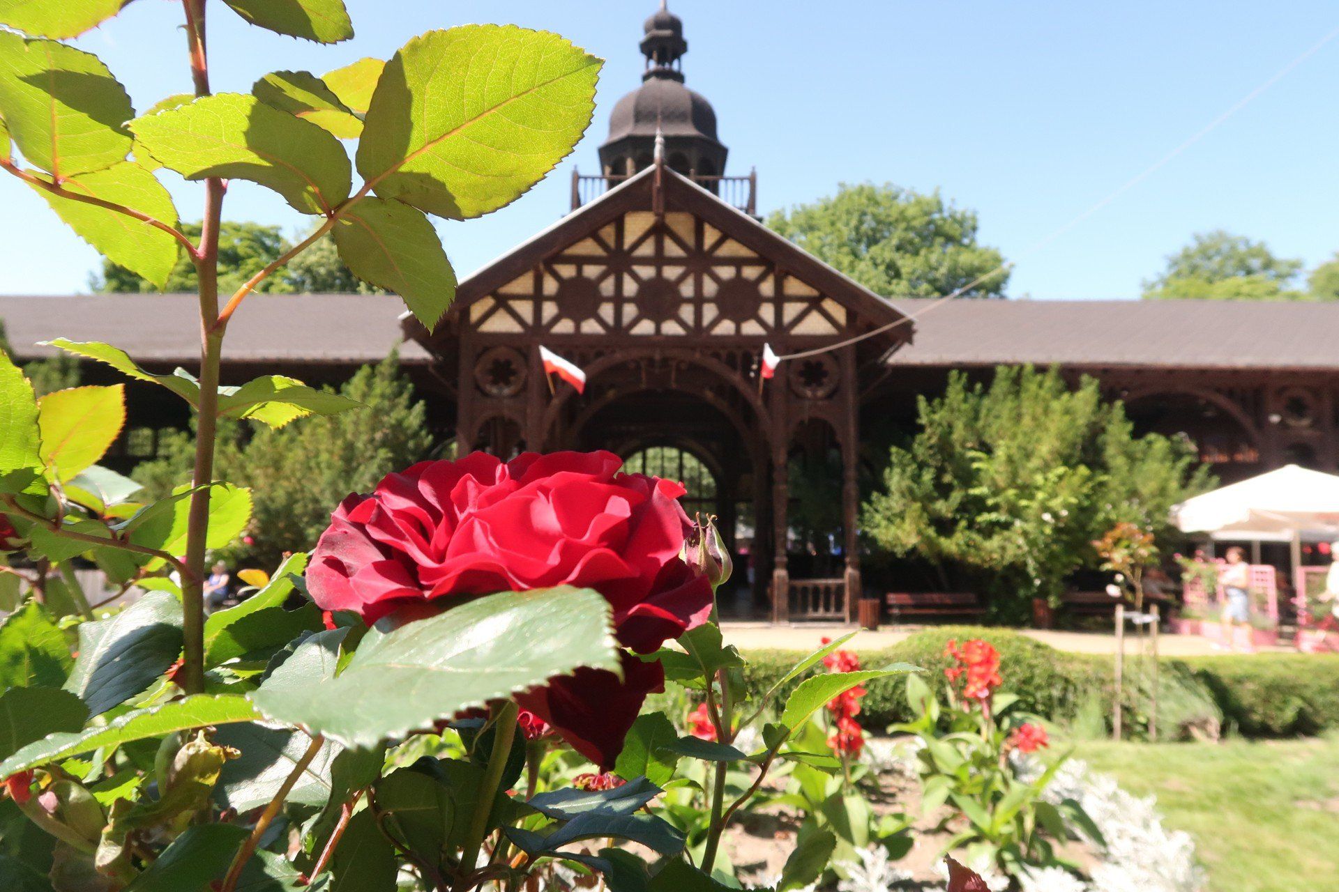 Hala Spacerowa - Uzdrowisko Szczawno-Zdrój