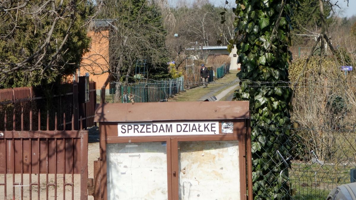 Rodzinne Ogródki Działkowe (ROD) mogą się starać o dofinansowanie. Na ten cel przeznaczono 50 mln zł