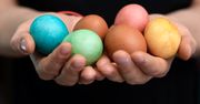 Pisanki i jajka. To wiedzieć powinieneś o nich przed Wielkanocą