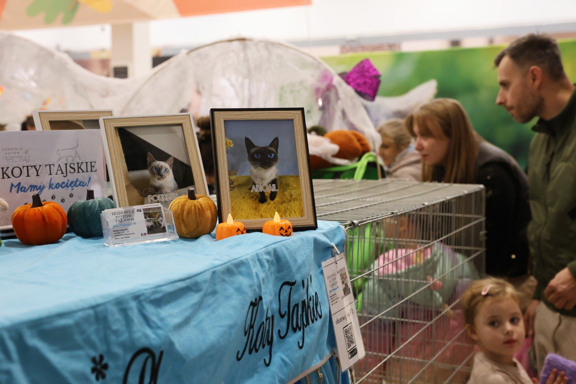 Pokaz kotów w M1 Czeladź