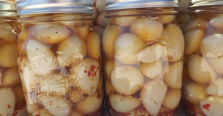Zostaw na 3 tygodnie w słoiku. Naturalny antybiotyk uchroni przed wirusami, bakteriami i grzybami