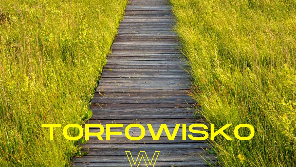 Torfowisko w Bieszczadach