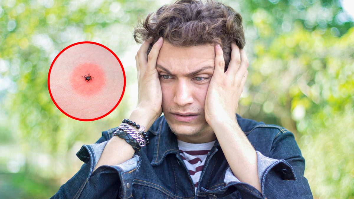 Alarmujące doniesienia z Japonii. Potwierdzo pierwszy śmiertelny przypadek zakażenia wirusem oz