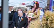 "Biedny, ale wierny". Komentarze po zapowiedzi Kaczyńskiego