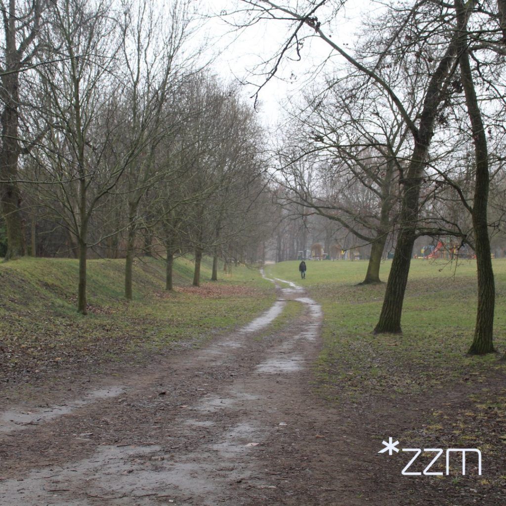 Nowa ścieżka w poznańskim Parku Szelągowskim. Wygodniej i z poszanowaniem przyrody