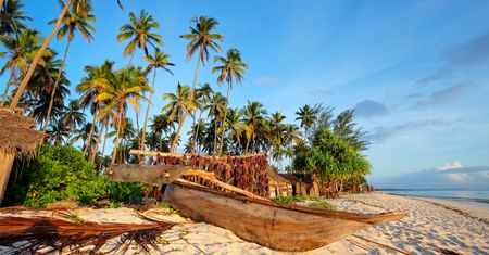 Wielki przekręt zdemaskowany. List gończy za "Wojtkiem z Zanzibaru"