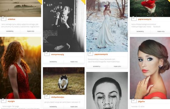 Zniknie serwis Photoblog, jego wydawca w likwidacji