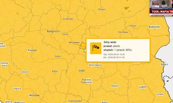 IMGW ostrzega przed silnym wiatrem w powiecie płockim. Porywy do 85 km/h